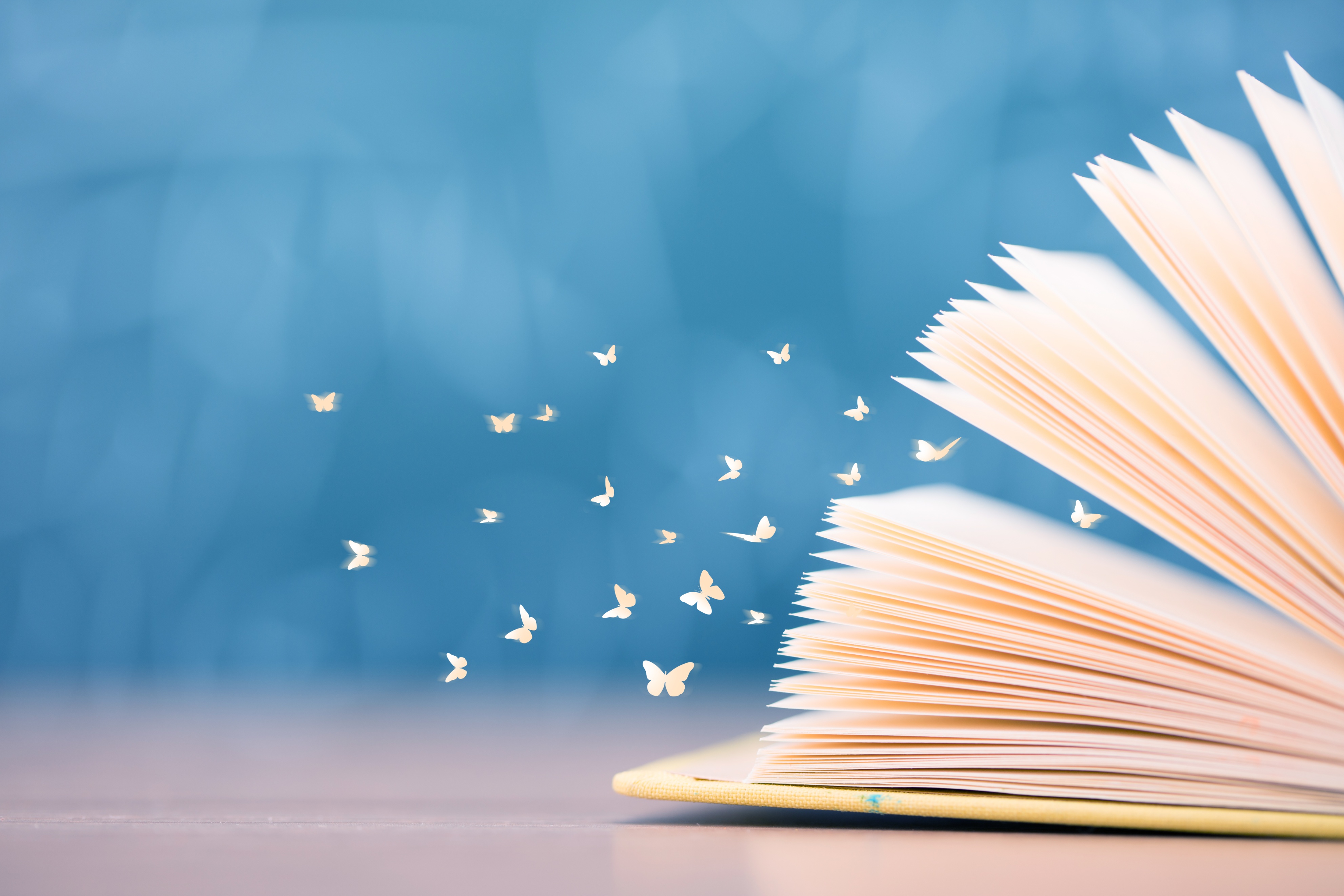 �µ�һ�꣬����ɣ�